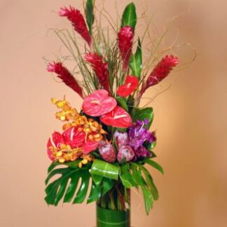 Large Tropical Arrangement
