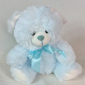 Small Blue Teddy Bear