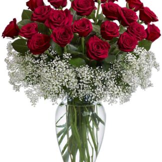 Field of Roses