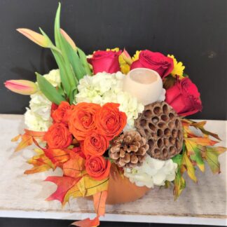 Pumpkin Pave