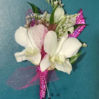 Bigger White Orchid Bout