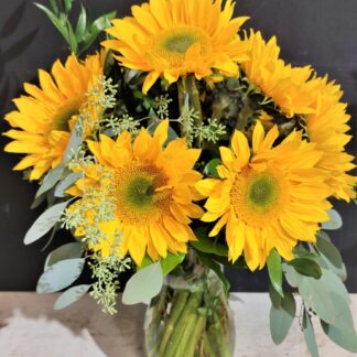 Super Sunflowers