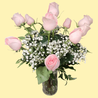 One Dozen Pink Roses