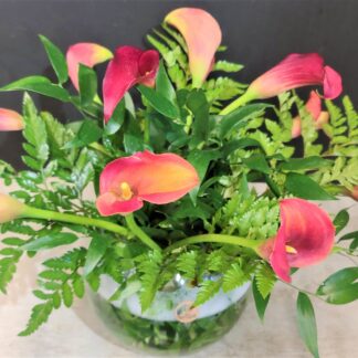 Designer's Choice Mini Callas in a Bowl