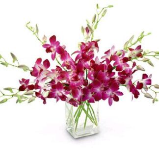 Purple Dendrobium Orchid Vase