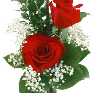 3 Red Roses