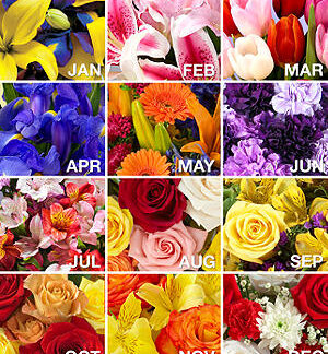 Flowers for a Year