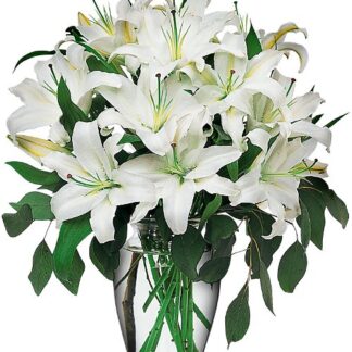 Perfect White Lilies