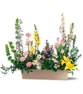 Spring Window Box