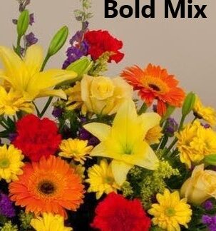 Bold Mix Designer's Choice Large