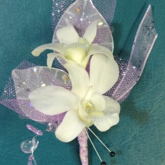 White Orchids Bout Upgraded
