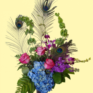 Peacock