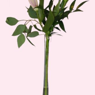Tall Lily Bud Vase