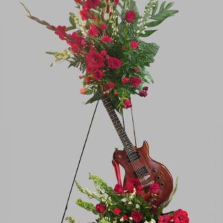 Custom Guitar Standing Spray