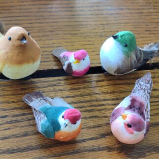 Assorted Birds