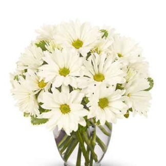 Daisy Bowl