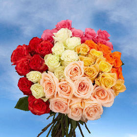 Prettiest Color Rose Medium Stem Dozen Arranged