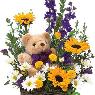 Basket & Bear Arrangement