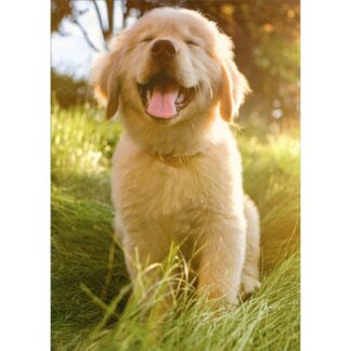 Blank Greeting Card