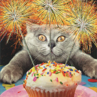 Birthday Card