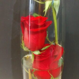 Modern Bud Vase