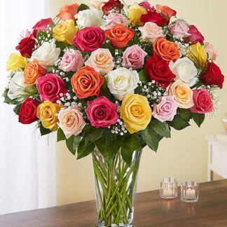 4 Dozen Prettiest Roses - Designer Choice