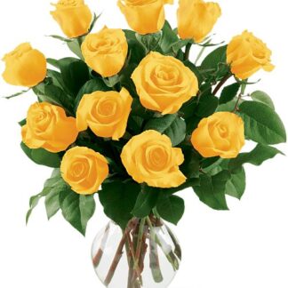 One Dozen Yellow Long Stem Roses - Vday