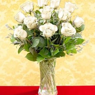 One Dozen White Long Stem Roses - Vday