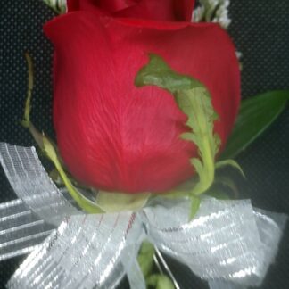 Colorful Rose Pin-on