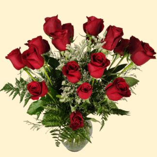 16 Roses - Choose Your Color/Quantity