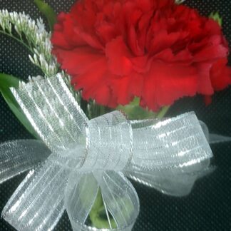 Colorful Carnation Pin-on