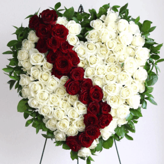 All Roses Broken Heart