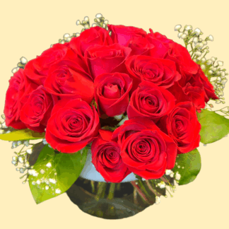 Two Dozen Red Pave Roses