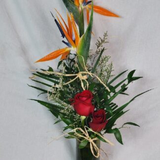 Bird of Paradise Topiary