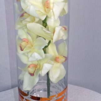 Orchid in Bloom