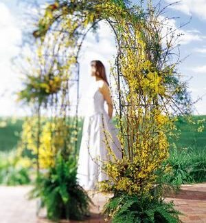 Arbor of Love Archway