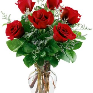 6 Red Roses