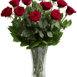 A Dozen Premium Red Roses