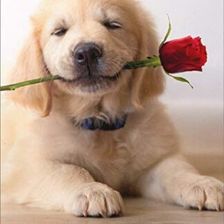 Valentine's Day Card