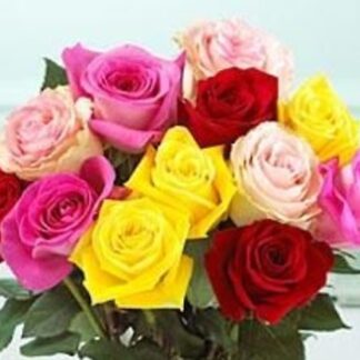 Dozen Mixed Medium Stemmed Roses Wrapped