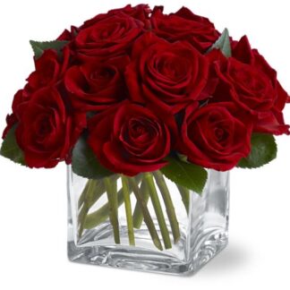 Dozen Rose Contempo Pave'
