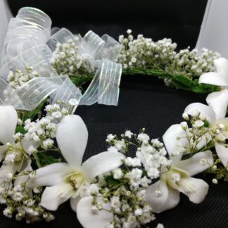 Orchids Halo