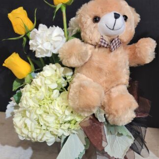 Bear Extraordinaire