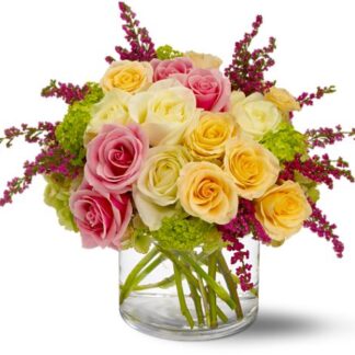 Enchanted Roses