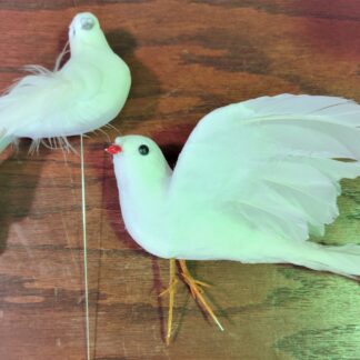 Dove Pick