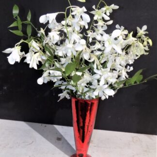 White Orchids in a Red Vase