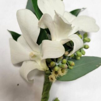 White Orchids w/ Eucalyptus Bout