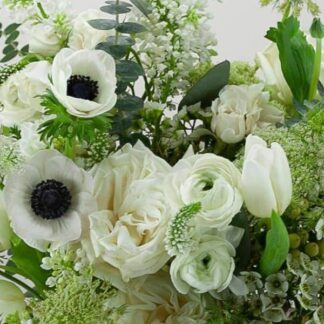Green Heroman's Special Small