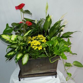 Blooming Plant Metal container Large