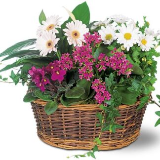 Traditional European Garden Basket